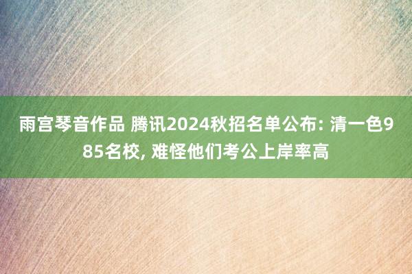 雨宫琴音作品 腾讯2024秋招名单公布: 清一色985名校, 难怪他们考公上岸率高