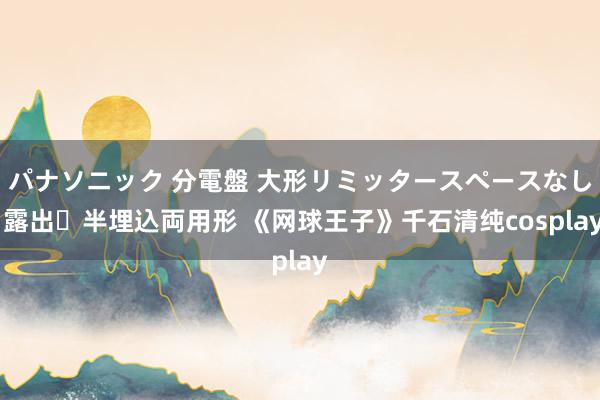 パナソニック 分電盤 大形リミッタースペースなし 露出・半埋込両用形 《网球王子》千石清纯cosplay