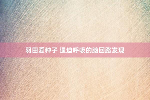 羽田爱种子 逼迫呼吸的脑回路发现