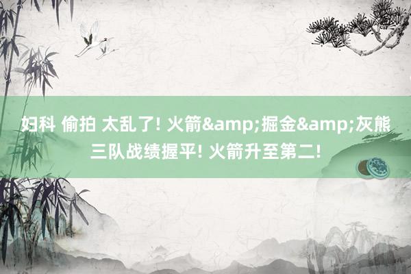 妇科 偷拍 太乱了! 火箭&掘金&灰熊三队战绩握平! 火箭升至第二!