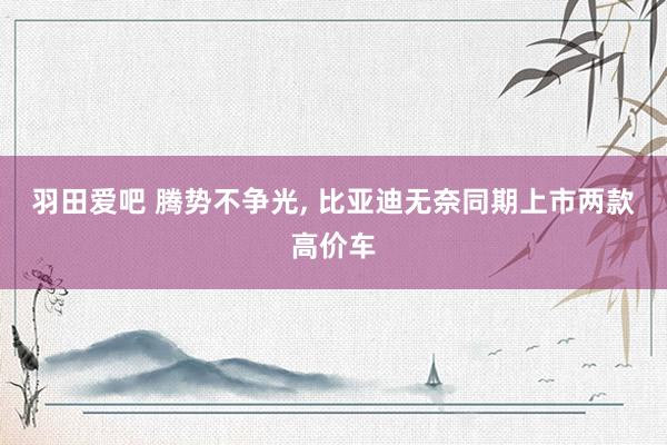 羽田爱吧 腾势不争光, 比亚迪无奈同期上市两款高价车