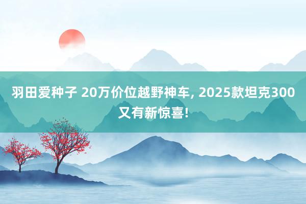羽田爱种子 20万价位越野神车, 2025款坦克300又有新惊喜!