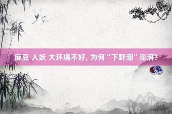 麻豆 人妖 大环境不好, 为何“下野潮”澎湃?