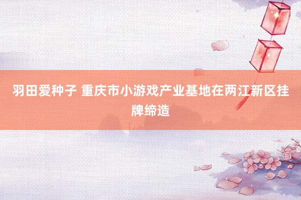 羽田爱种子 重庆市小游戏产业基地在两江新区挂牌缔造